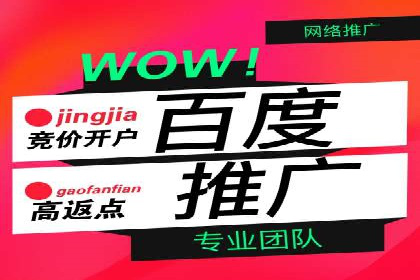 SEM托管服务成功案例：见证品牌成长